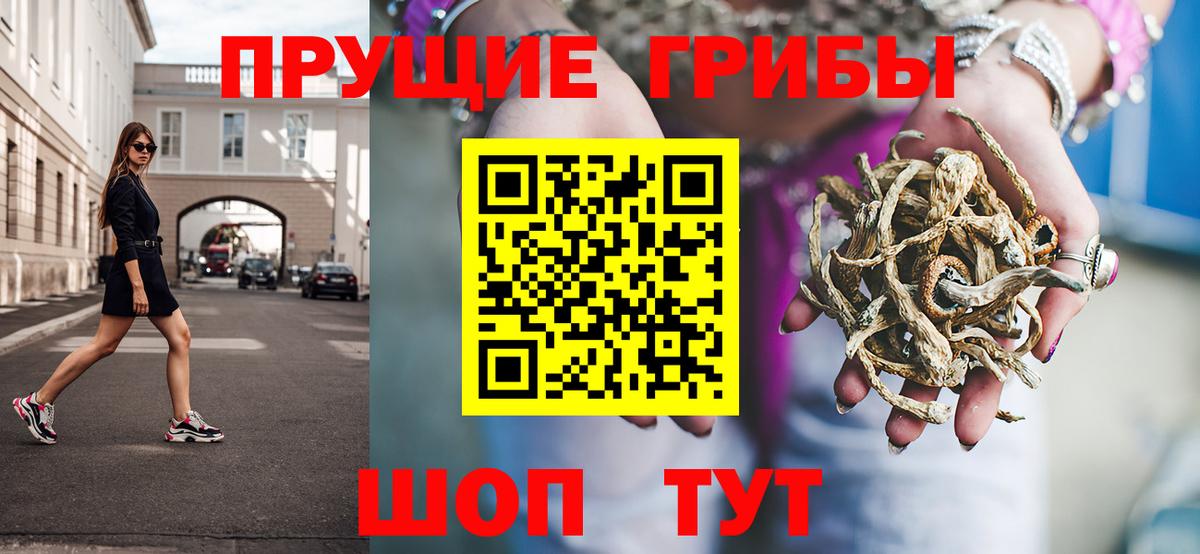 Жуковский  Галлюциногенные грибы прущие грибы  Вход с VPN 